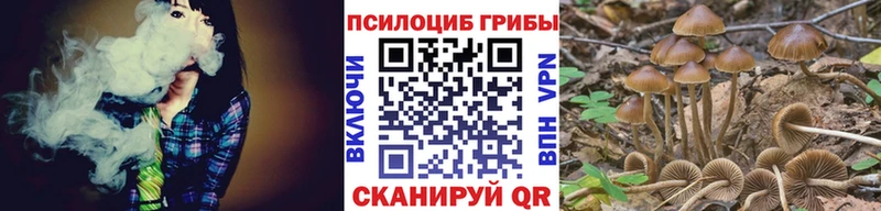 Псилоцибиновые грибы Psilocybe  цена наркотик  Кириллов 